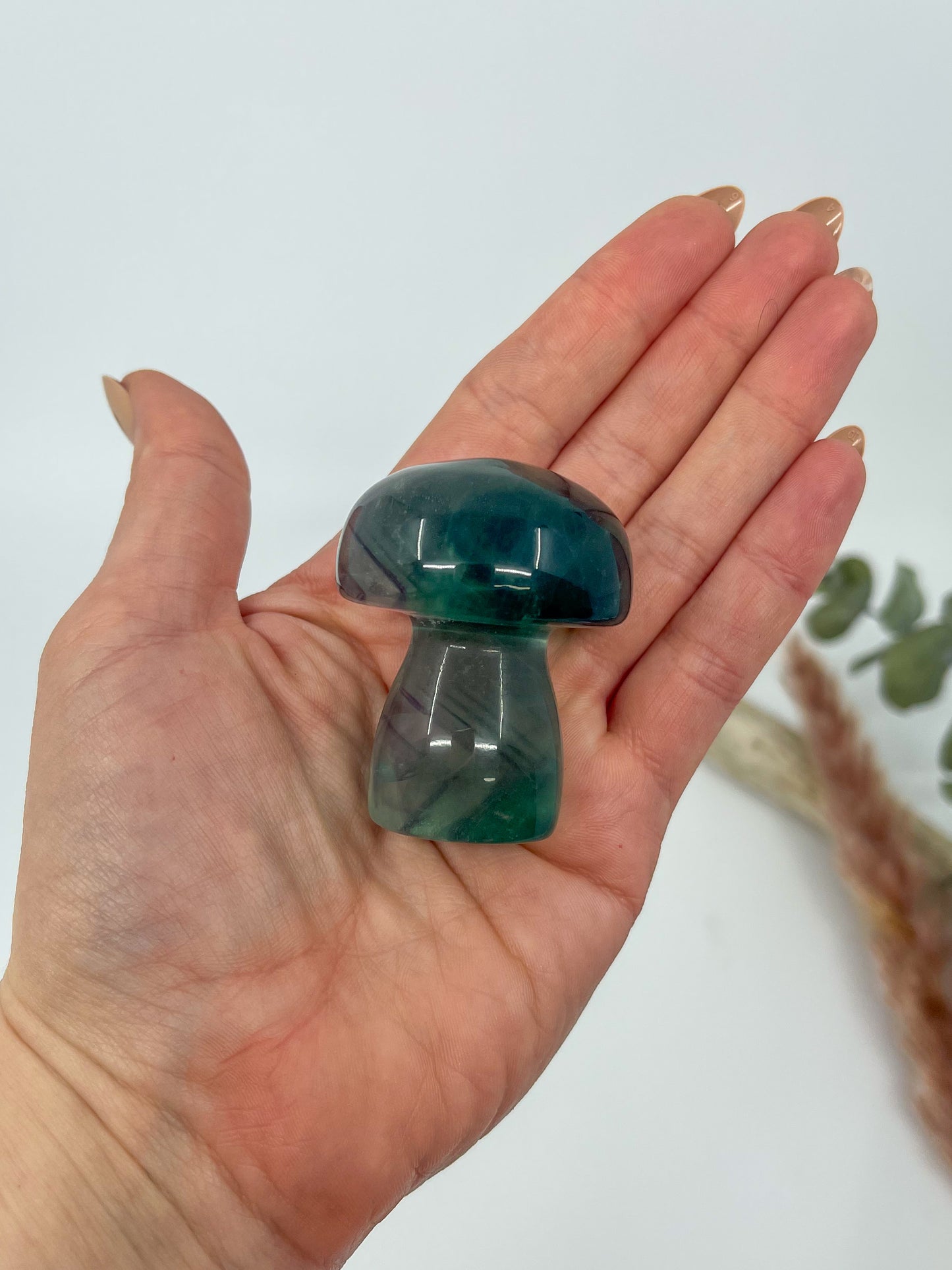 Rainbow Fluorite Mushroom