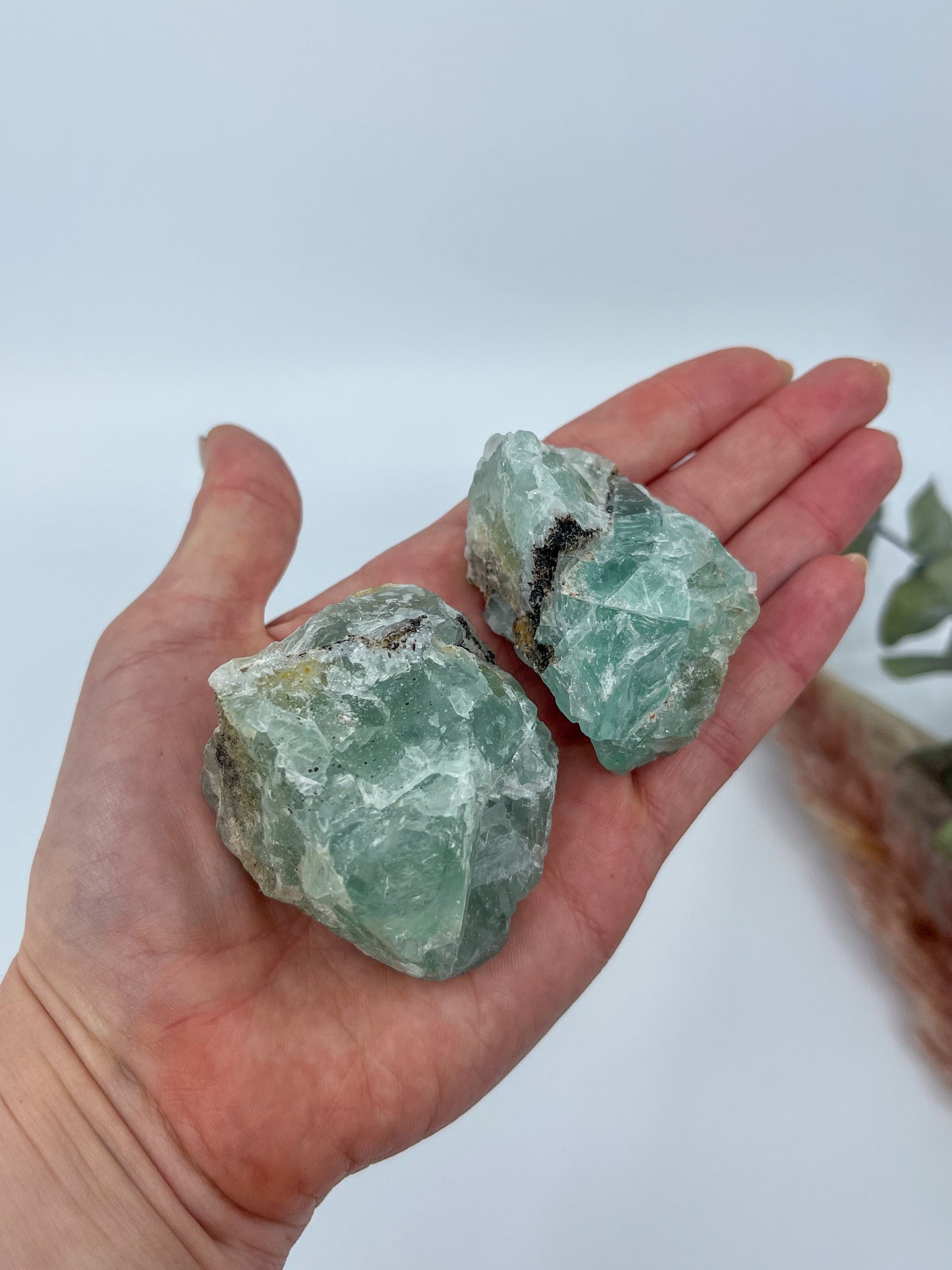 Fluorite Raw • Durango, Mexico