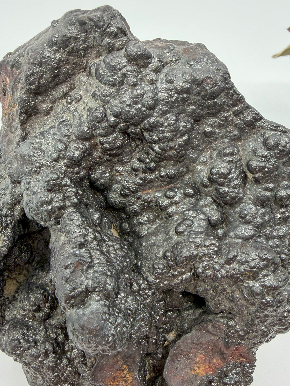 Botryoidal Hematite Specimen -EXACT PIECE-