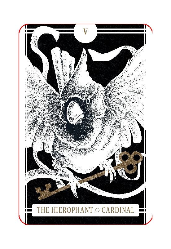 The Avian Tarot