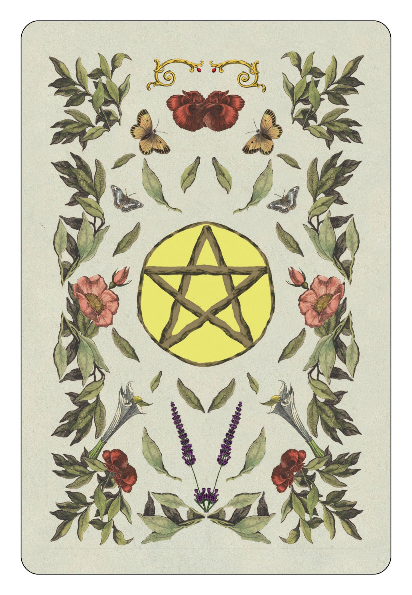 Elemental Spells | Juliete Suarez Valente