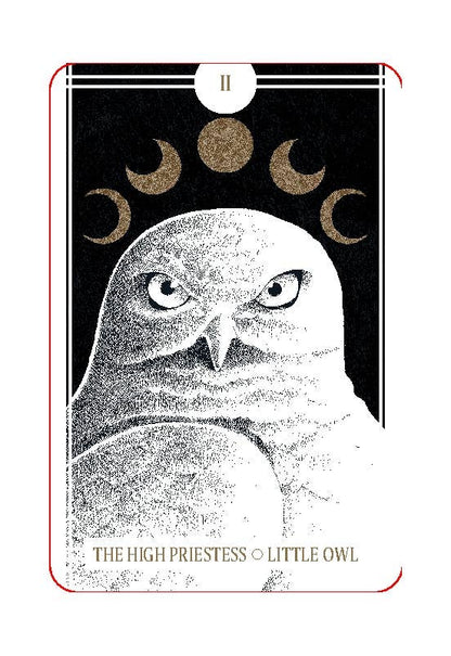 The Avian Tarot