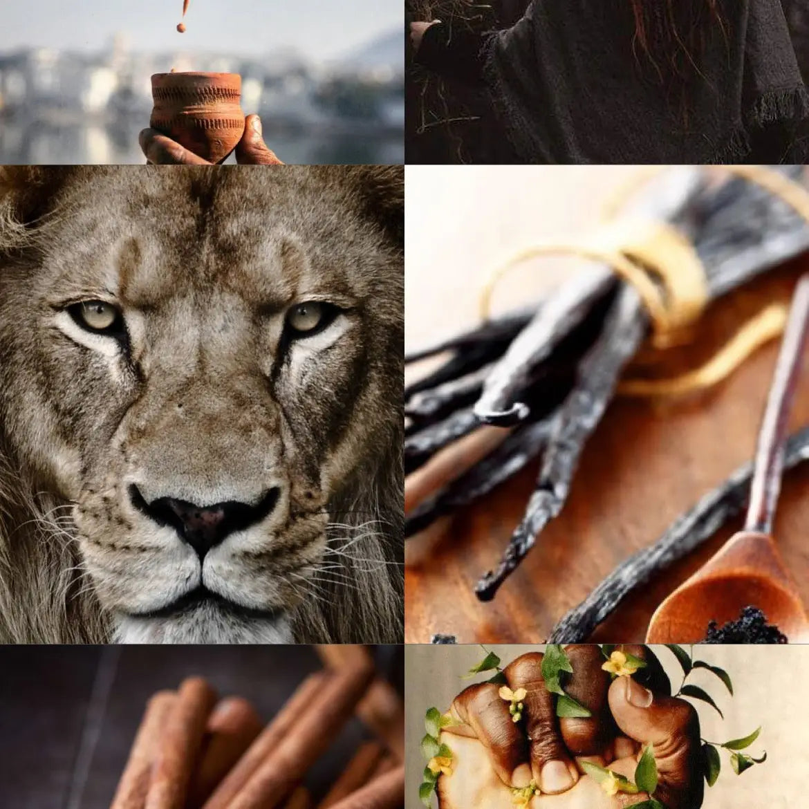 Strength: Tarot Collection | Shy Wolf Candles