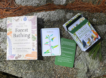An Invitation to Forest Bathing | Lissa Kennedy