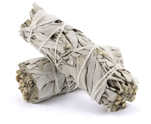 4" White Sage Stick - Mexico