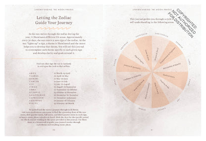 The Moon Journal | Sandy Sitron