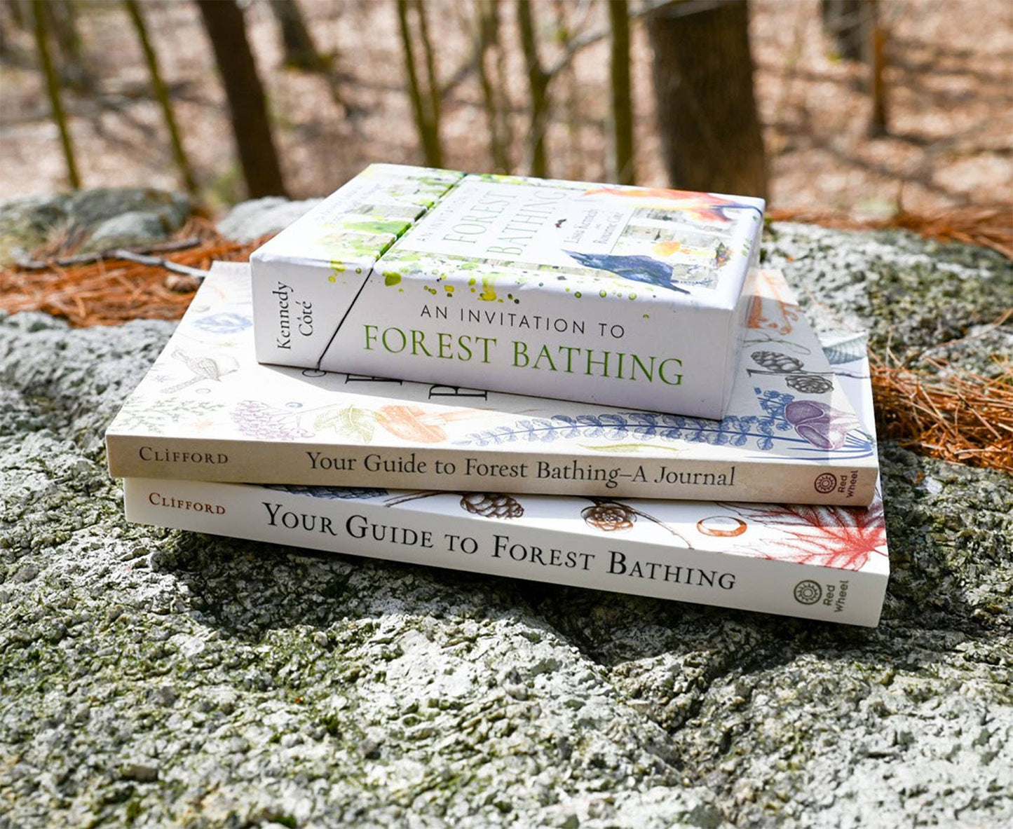 An Invitation to Forest Bathing | Lissa Kennedy