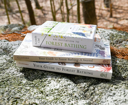An Invitation to Forest Bathing | Lissa Kennedy