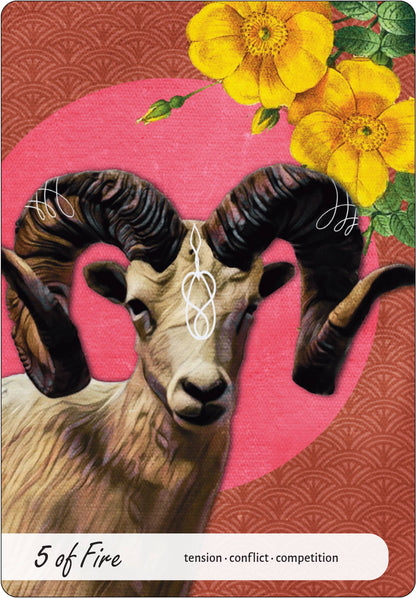 Wise Earth Medicine Tarot