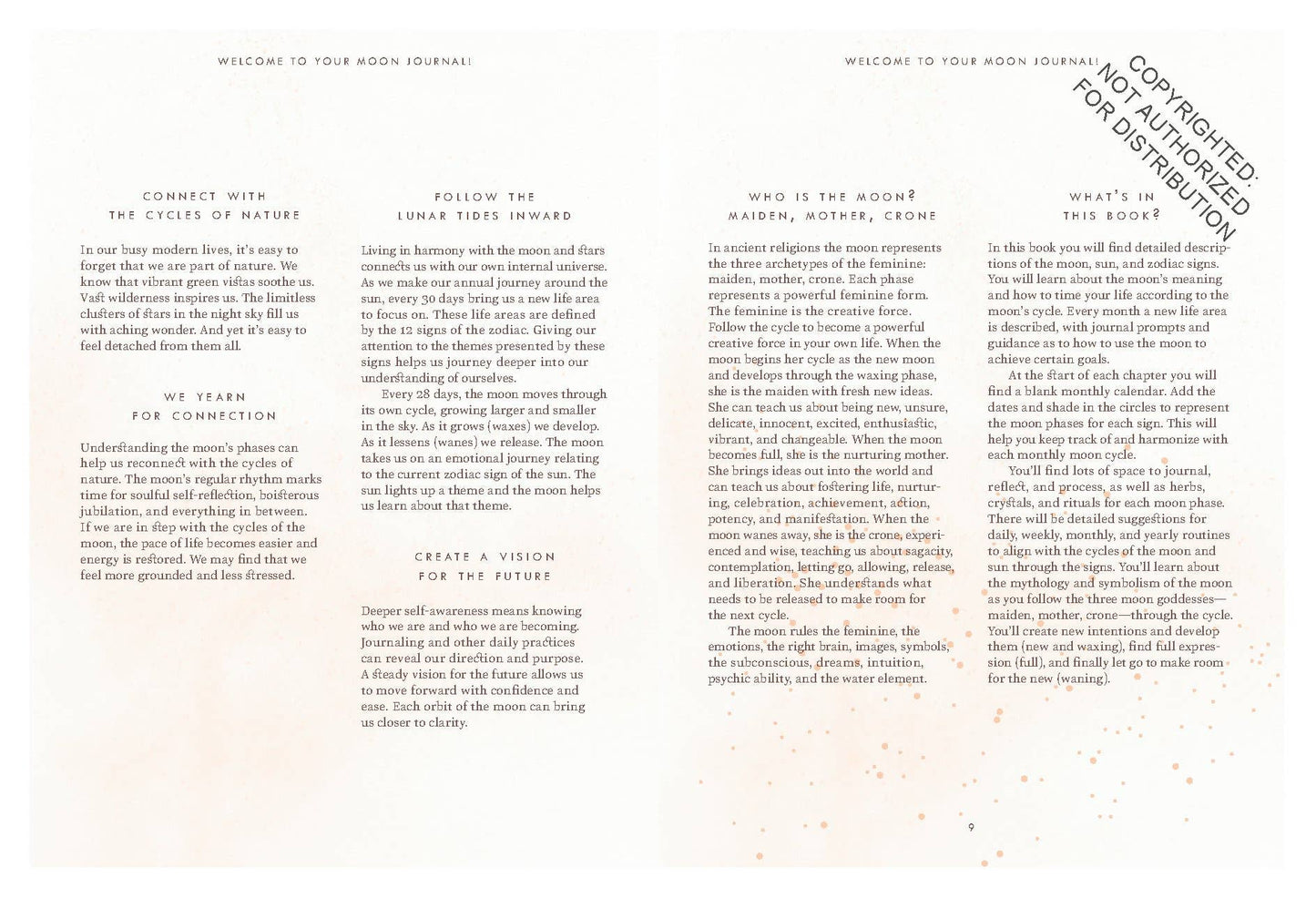 The Moon Journal | Sandy Sitron
