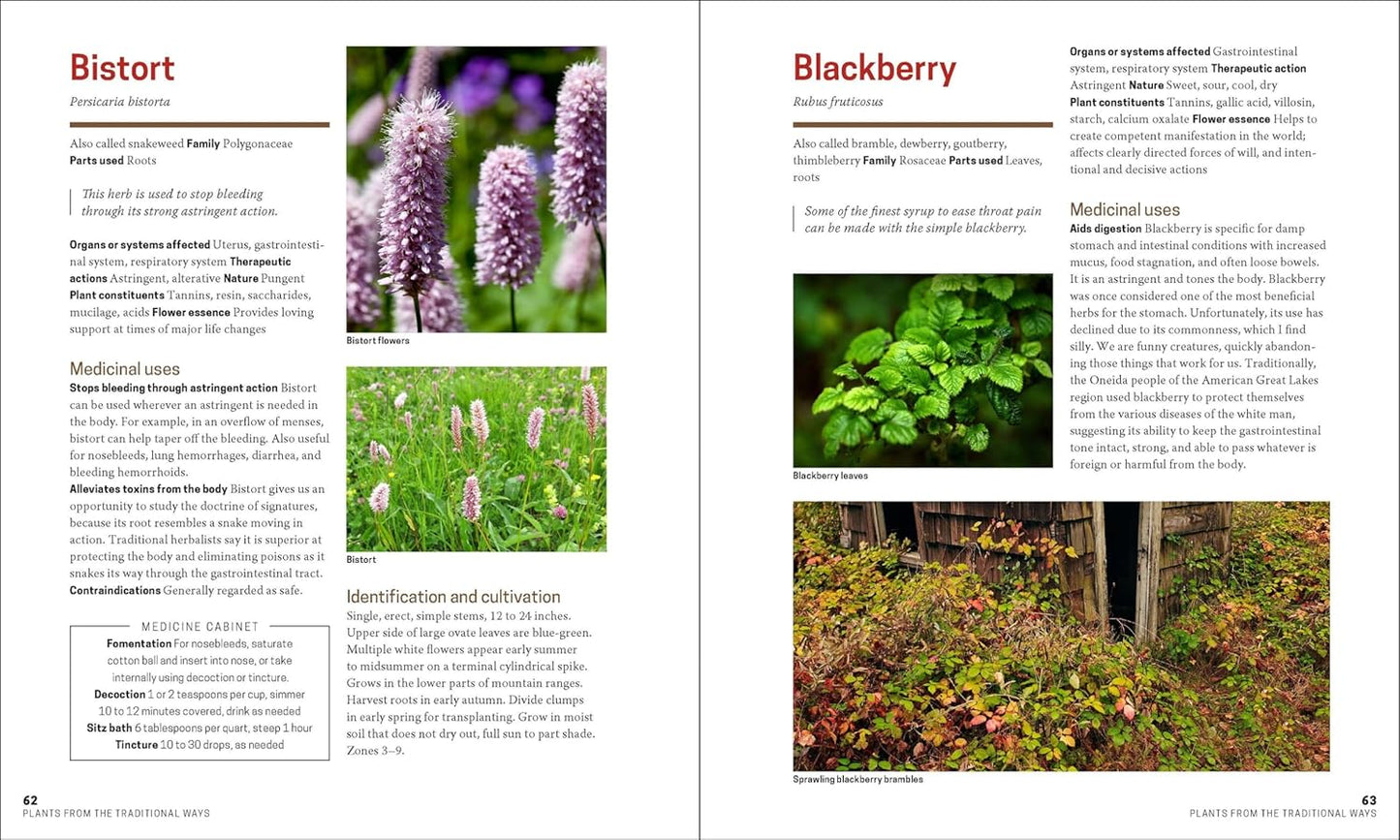 The Herbal Apothecary: 100 Medicinal Herbs and How to Use Them | JJ Pursell
