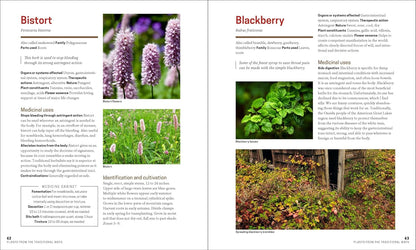 The Herbal Apothecary: 100 Medicinal Herbs and How to Use Them | JJ Pursell