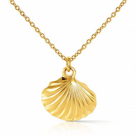 The Shell Necklace