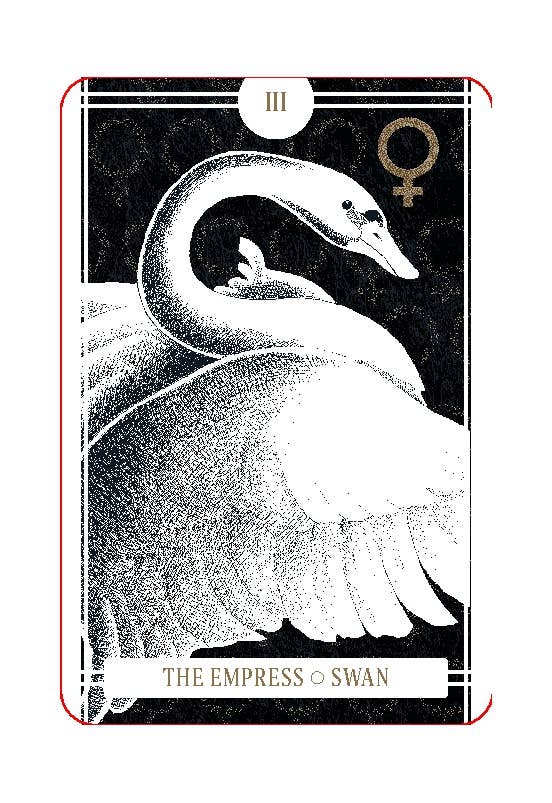 The Avian Tarot