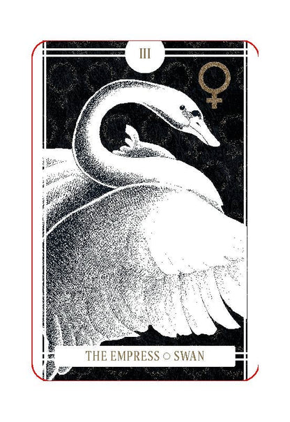 The Avian Tarot