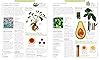 Encyclopedia of Herbal Medicine - New Edition | DK