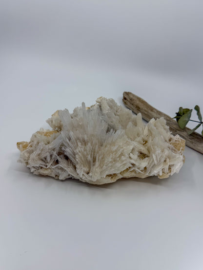 Scolecite with Stilbite Statement -EXACT PIECE-
