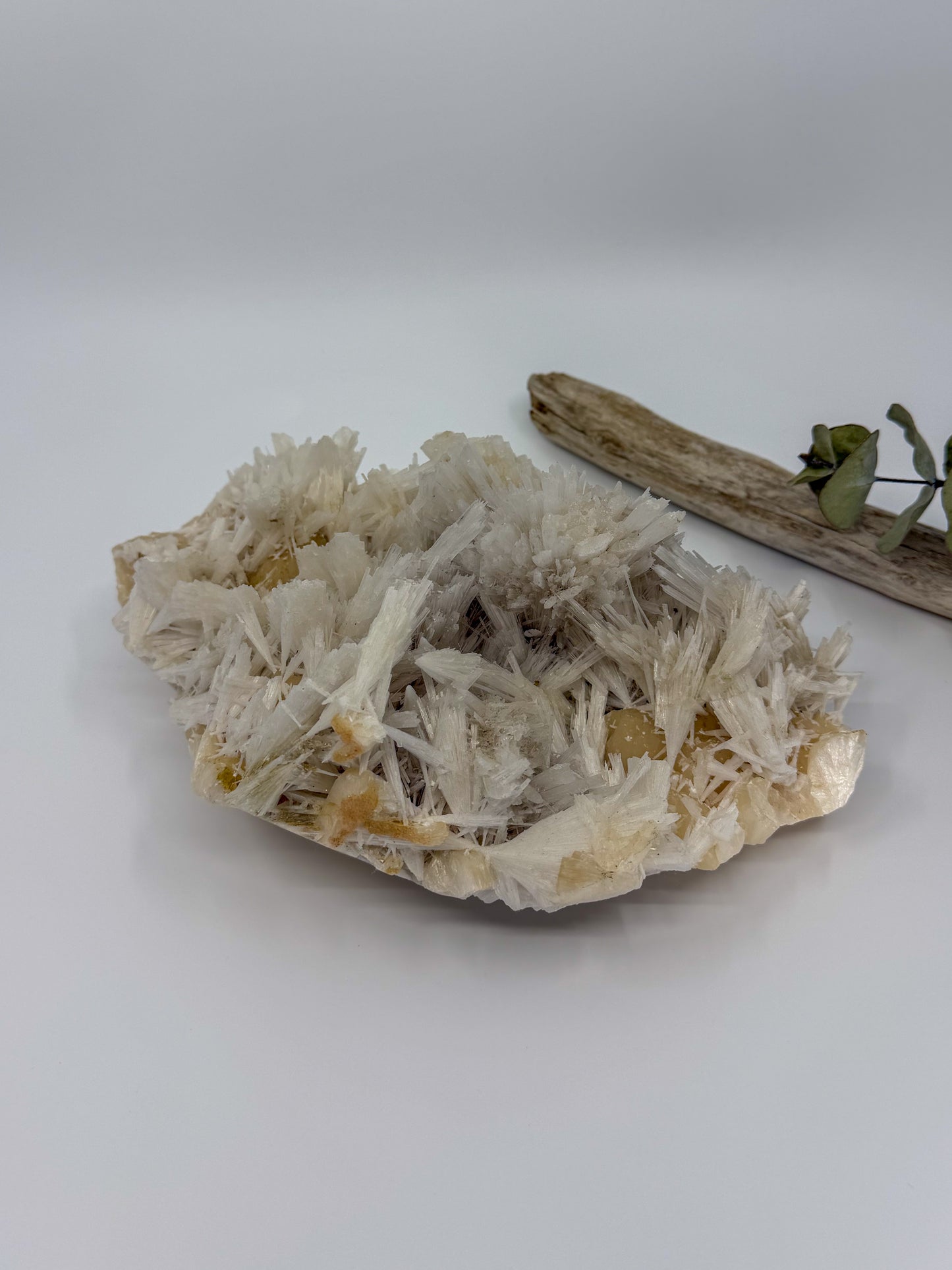 Scolecite with Stilbite Statement -EXACT PIECE-