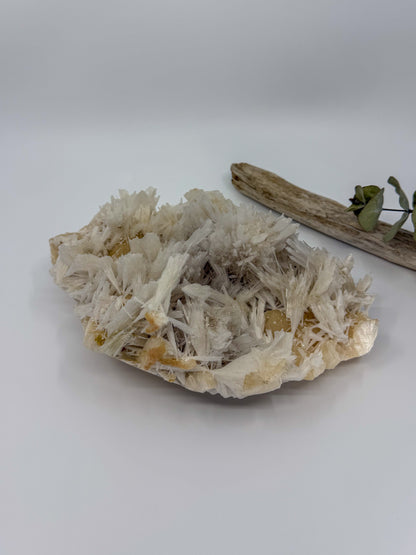 Scolecite with Stilbite Statement -EXACT PIECE-