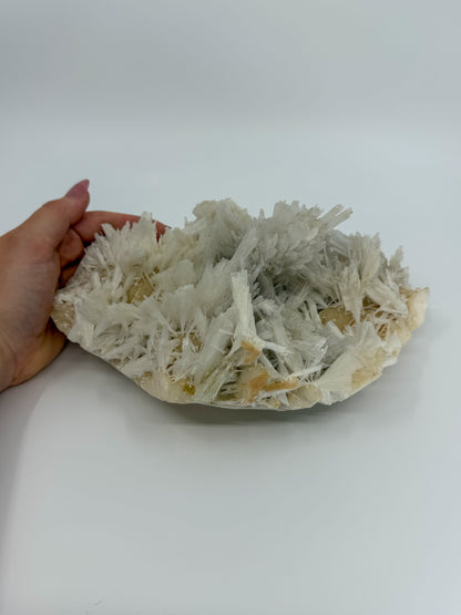 Scolecite with Stilbite Statement -EXACT PIECE-