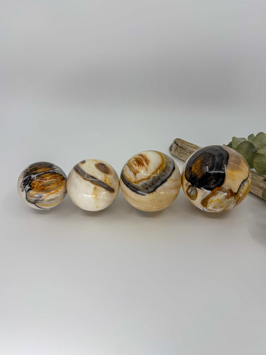 Petrified Wood Sphere, Madagascar -EXACT PIECE-