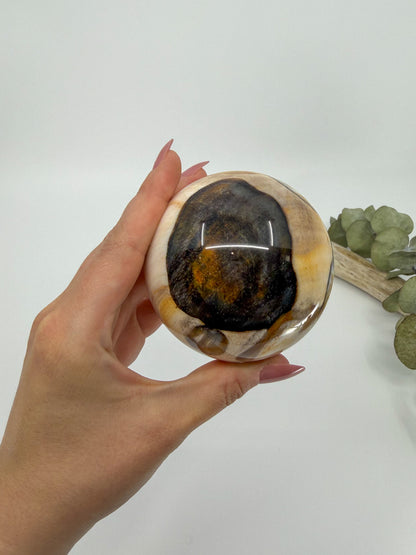 Petrified Wood Sphere, Madagascar -EXACT PIECE-