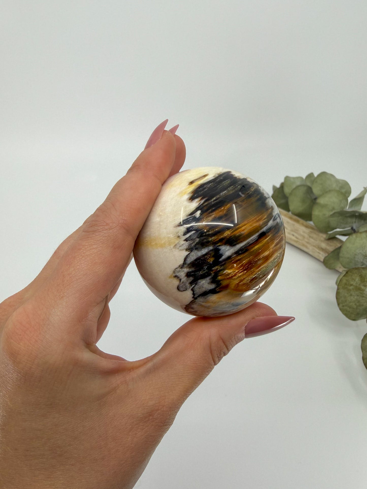 Petrified Wood Sphere, Madagascar -EXACT PIECE-