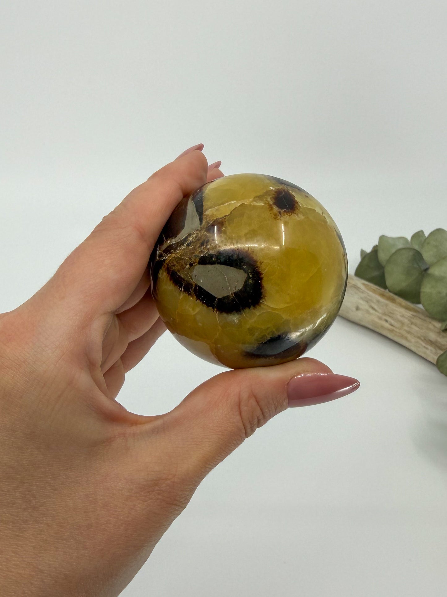 Septarian Sphere