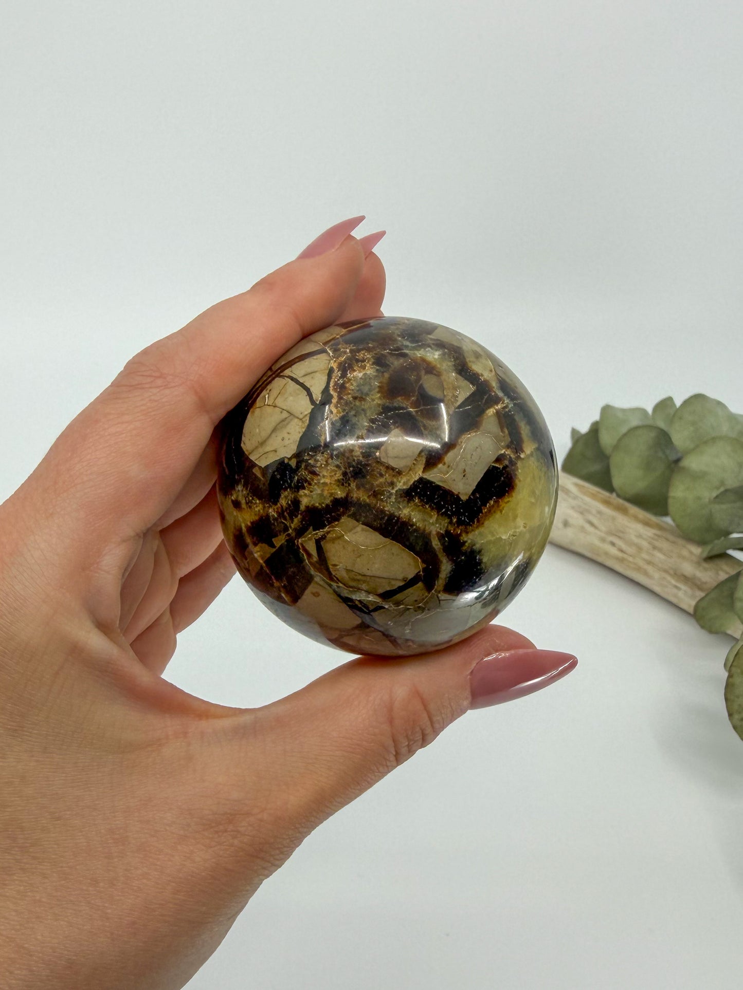 Septarian Sphere