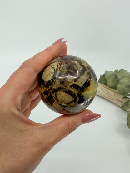 Septarian Sphere