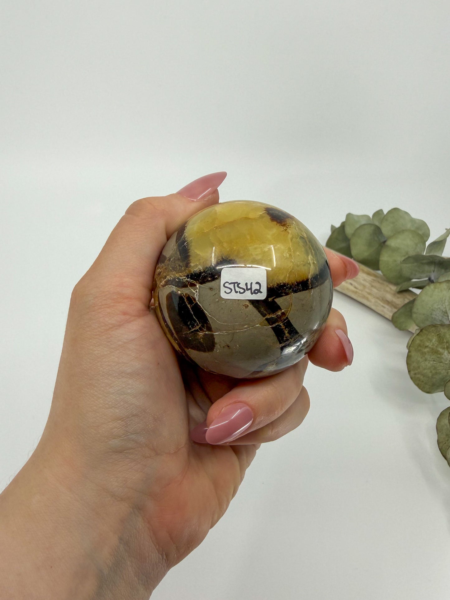 Septarian Sphere