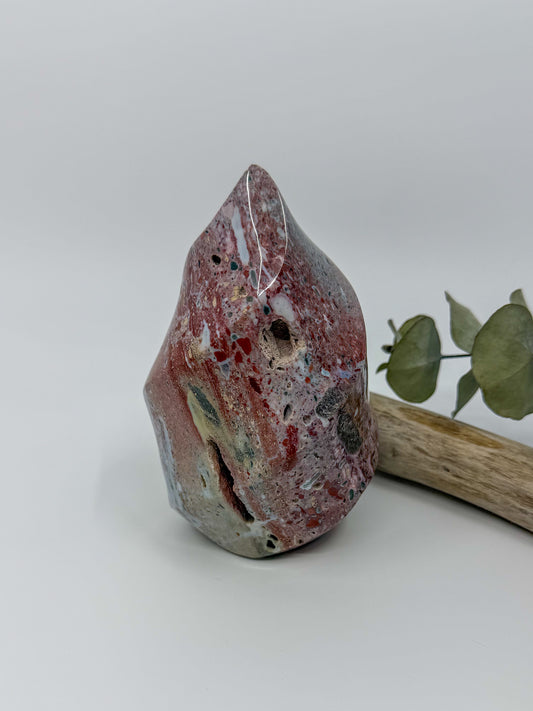 A polished nature crystal ocean jasper flame with natural marbling in red, gray, and white, displayed on a light gray background next to a small sprig of green eucalyptus and a piece of driftwood.