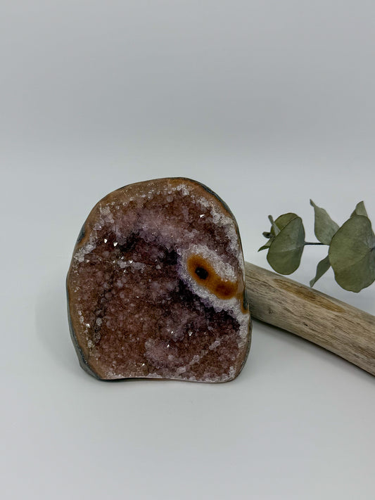 A polished Uruguay amethyst rainbow amethyst crystal geode specimen with brown and pinkish crystal clusters, displayed on a light gray background next to a small branch with green leaves.