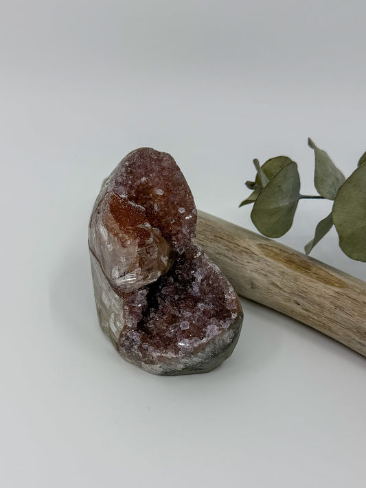 A natural crystal amethyst cut base geode specimen with a dark reddish-brown interior and rough outer crust, displayed upright on a light surface beside a driftwood branch and green leaves against a plain light gray background.