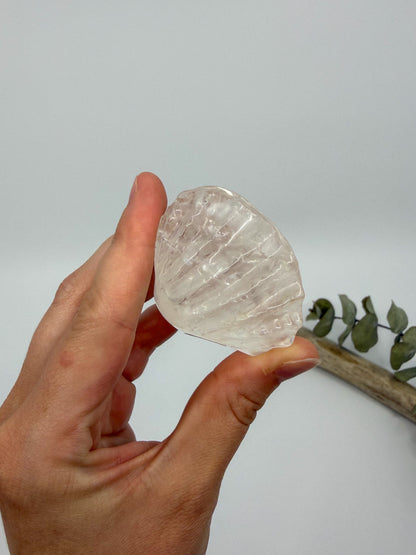 Clear Quartz 3D Shell