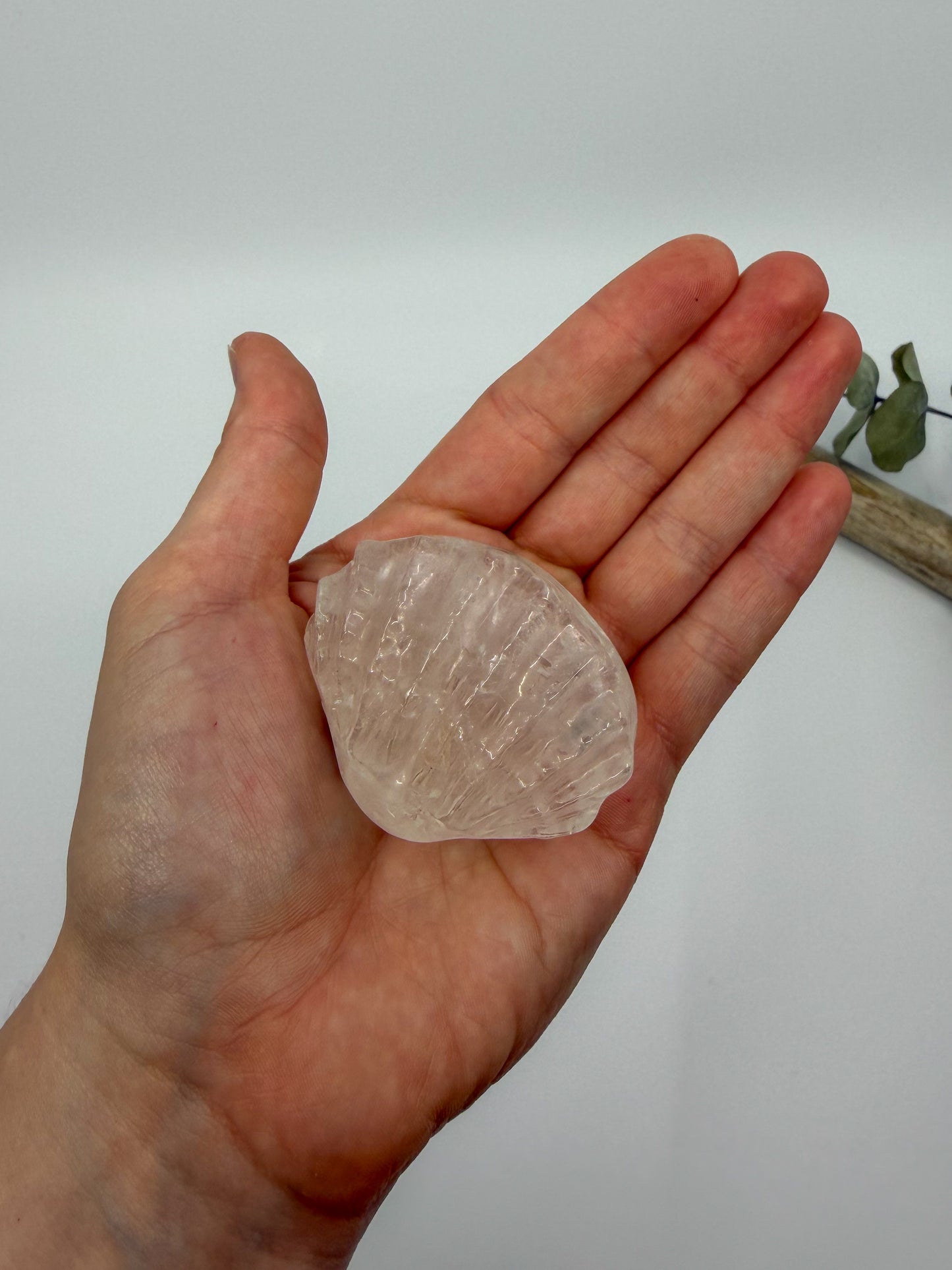 Clear Quartz 3D Shell