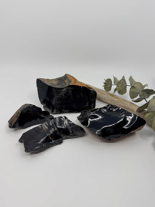 Several shiny raw black raw obsidian crystal mineral chunks with natural rough edges are arranged on a light gray studio surface, with a small dried eucalyptus branch behind them.