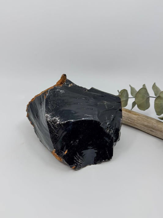 A raw shiny black obsidian crystal stone with rough, jagged edges and a brown matrix, displayed on a light gray surface next to a dried eucalyptus branch.