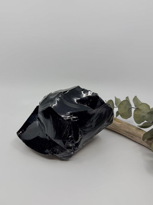 A large shiny black raw obsidian crystal chunk with natural texture and sheen displayed on a light gray surface next to a small eucalyptus sprig and a piece of driftwood.