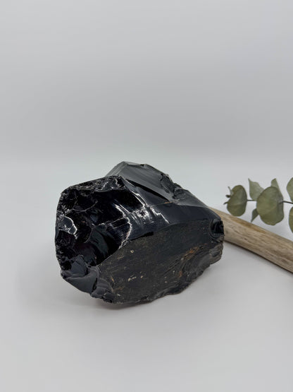 Statement Obsidian Raw Chunk