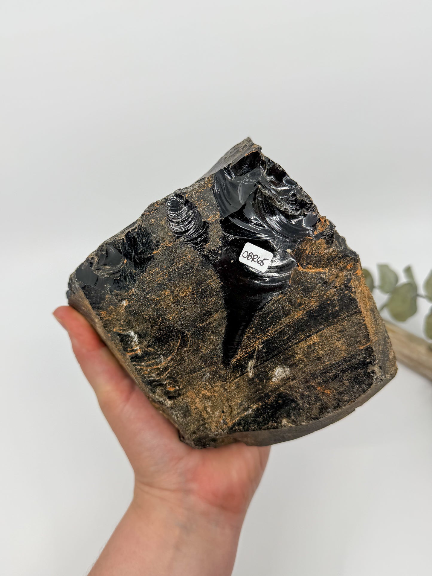 Statement Obsidian Raw Chunk