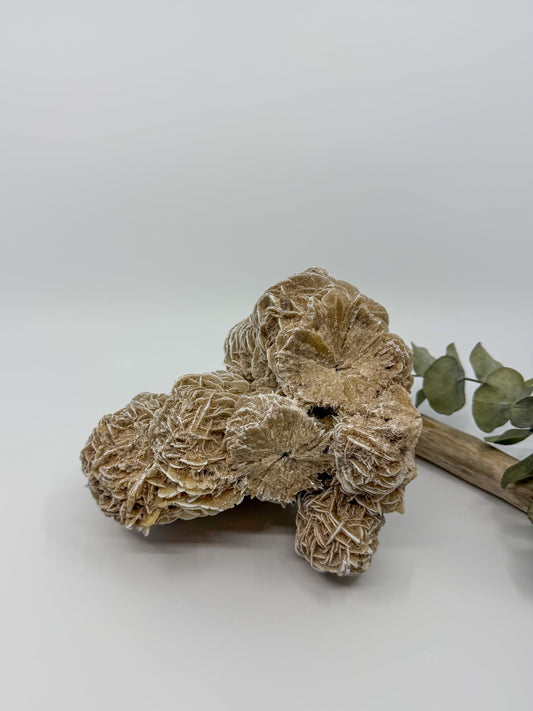 Statement Desert Rose Selenite Specimen | EXACT PIECE