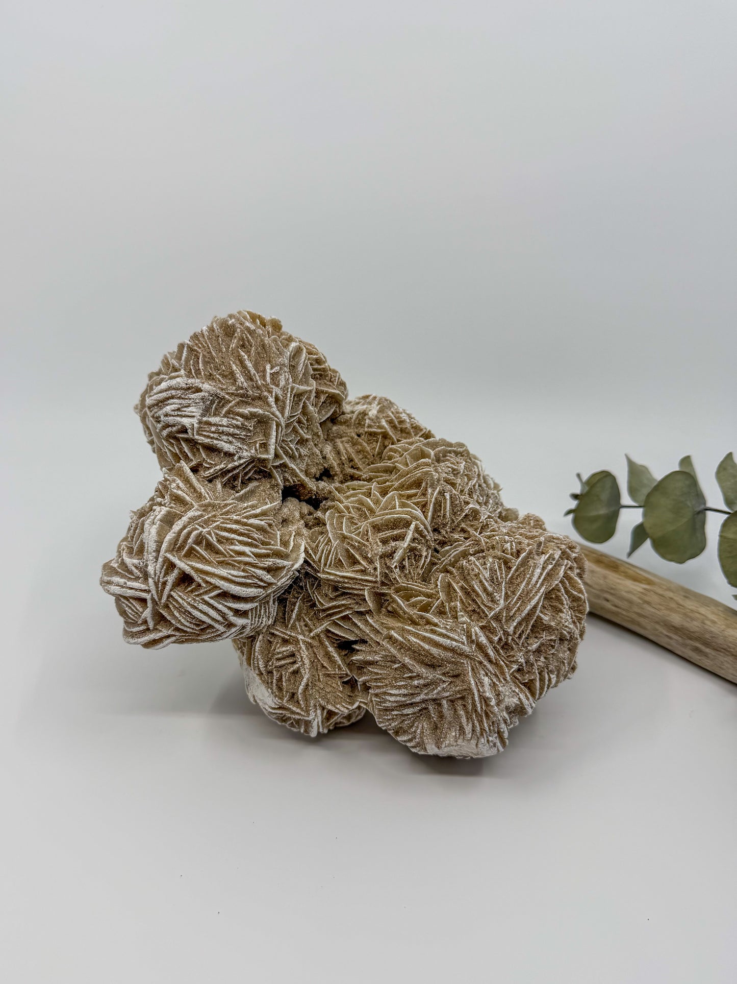 Statement Desert Rose Selenite Specimen