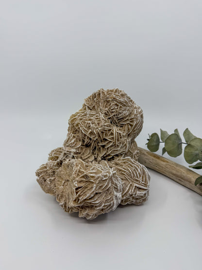 Statement Desert Rose Selenite Specimen
