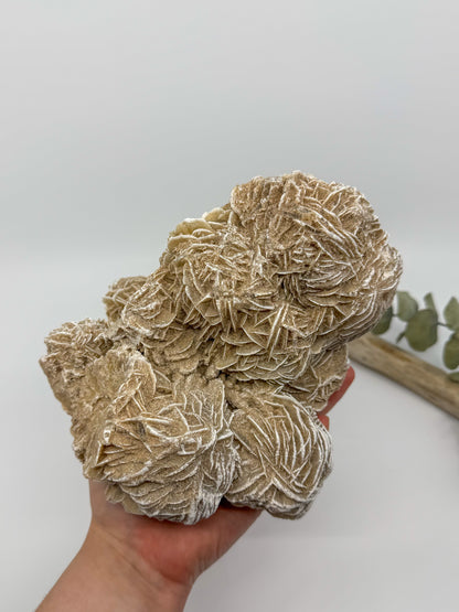 Statement Desert Rose Selenite Specimen