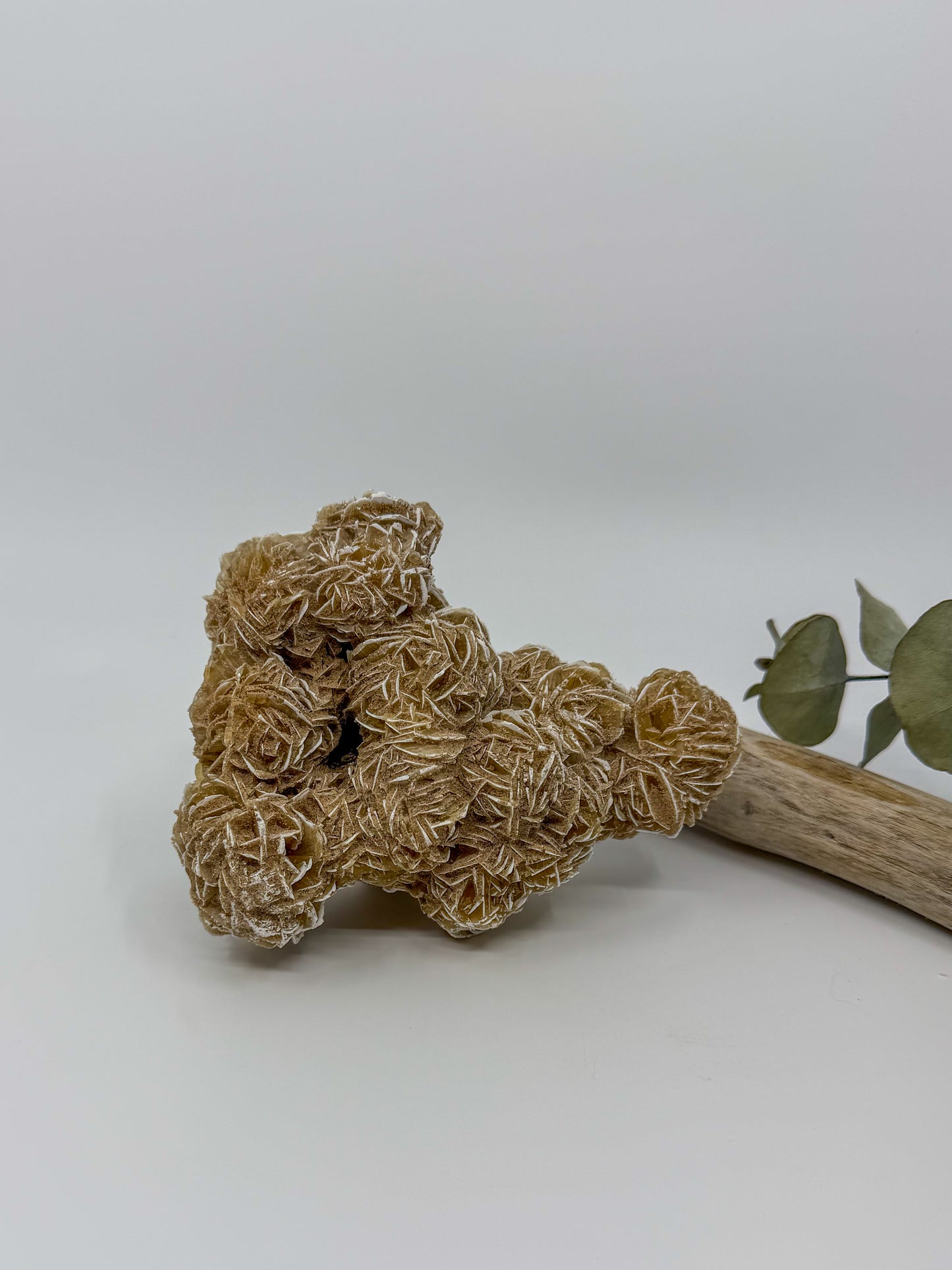 Desert Rose Selenite Specimen