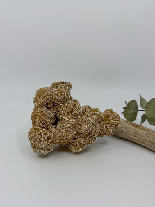 Desert Rose Selenite Specimen | EXACT PIECE