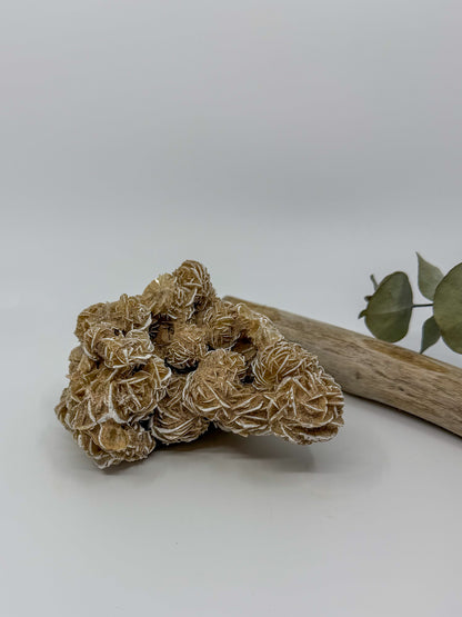 Desert Rose Selenite Specimen