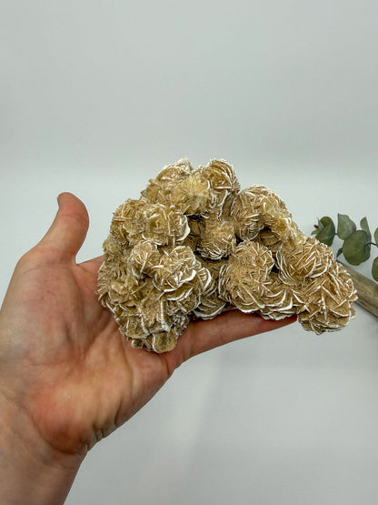Desert Rose Selenite Specimen