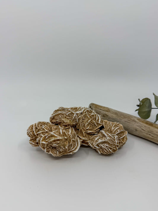 A desert rose selenite gypsum cluster with large roses, textured brown and beige on plain light background, with a piece of driftwood and a small green leaf visible at the right edge.